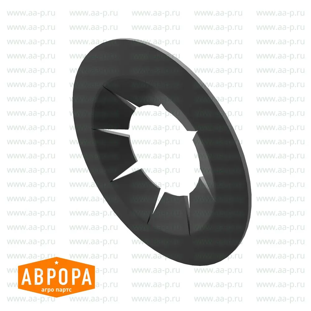 O-Ring